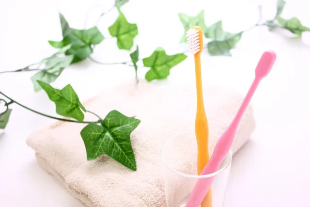 【加須】予防歯科の実践で必要な毎日の歯磨きとプロフェッショナルケア