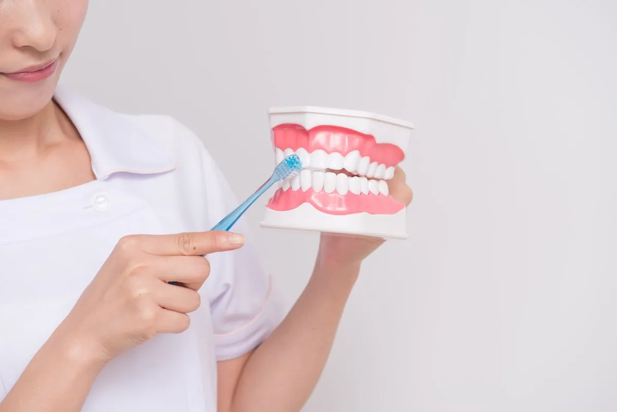 【加須市の歯周病治療】歯磨き不足や食生活による高齢者の歯周病増加について 定期健診はむさしの歯科