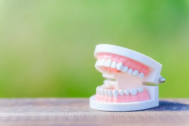 加須の予防歯科をかかりつけ医に！かかりつけ歯科医機能強化型歯科診療所に認定